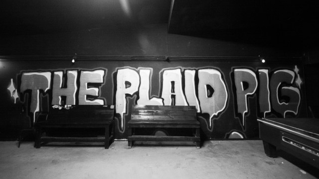 2019-03-02 Plaid Pig 50D (1)